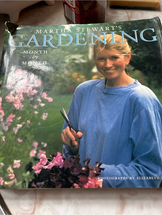 Martha Stewart Other - Martha Stewart book cover with cream and blue tones